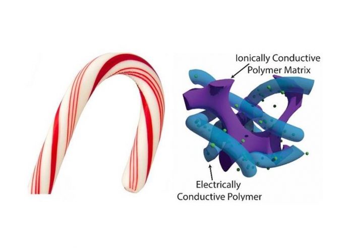 polymer electrode