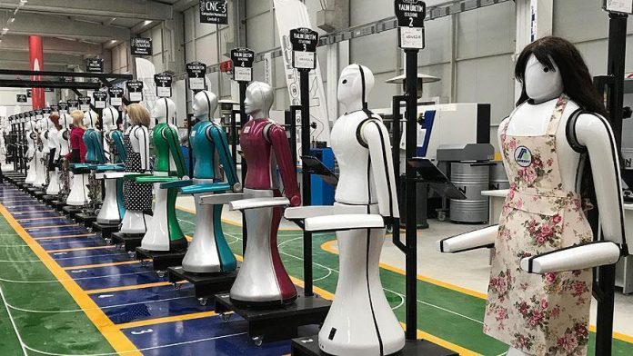Humanoid Robotics Factory