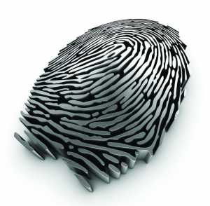  Fingerprint rendering resulting from a 3D scan