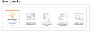 How it works with AWS Direct Connect?