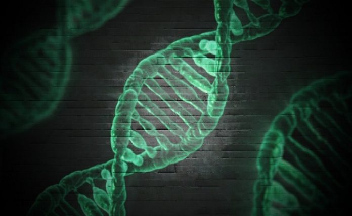 New Research Unveils that Quantum Physics can Cause Mutations in Our DNA