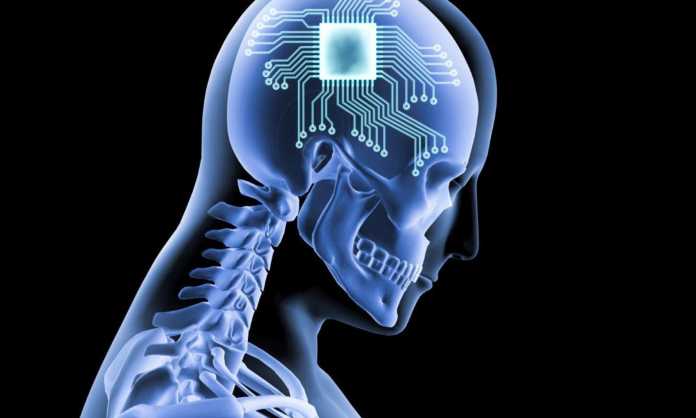 computer chips in humans brains