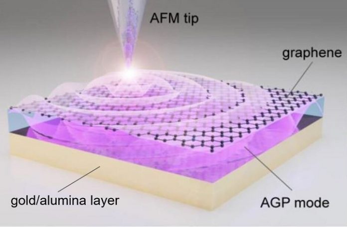 Graphene Plasmon Study Open Doors for Optoelectronic Applications