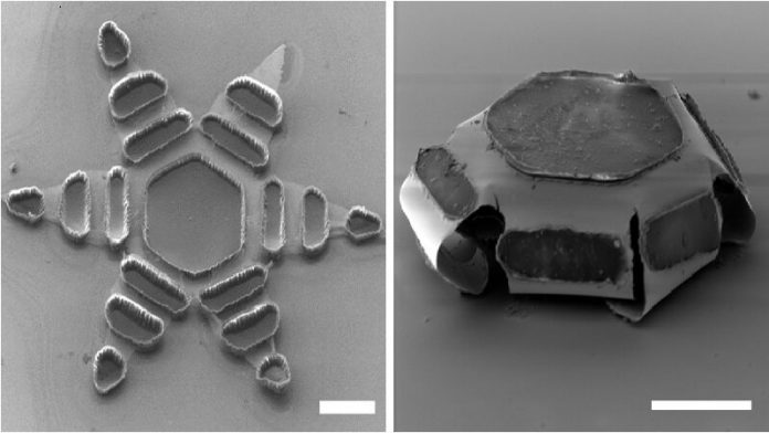 How Tiny Machines Become Capable of Learning