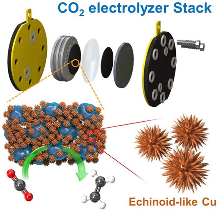 Carbon Neutrality