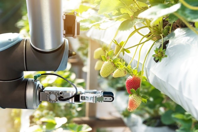 5G and Robotics in Agriculture Industry